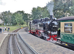 
'99 1781' on the Rugen Railway, September 2024