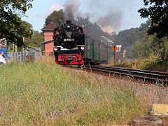 
'99 1784' on the Rugen Railway, September 2024