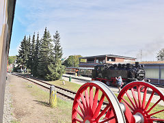 
'99 1784' on the Rugen Railway, September 2024