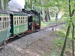 
'99 1784' on the Rugen Railway, September 2024