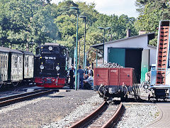 
'99 1784' on the Rugen Railway, September 2024