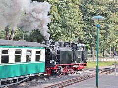 
'99 4011' on the Rugen Railway, September 2024