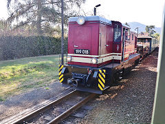 
'199 018' on the Zittau Railway, September 2024