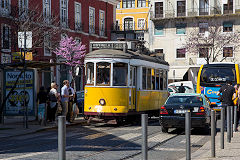
Tram No 567 at Lisbon, March 2014