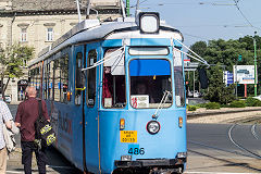
Arad tram '486', June 2019