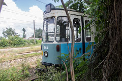
Arad tram '561', June 2019