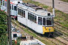
Arad tram '625', June 2019