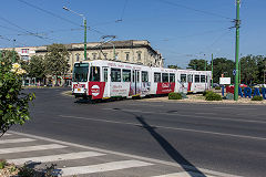 
Arad tram '1003', June 2019
