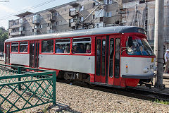 
Arad tram '1085', June 2019