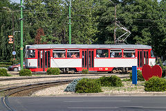 
Arad tram '1179', June 2019