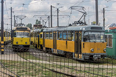 
Oradea trams '34' and '37', June 2019