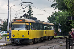 
Oradea tram '37', June 2019