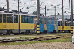 
Oradea trams '209' and '11' , June 2019