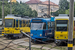 
Oradea trams '212', '205' and '13', June 2019