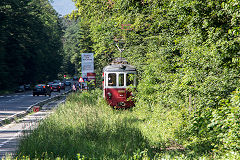 
Sibiu tramway, June 2019