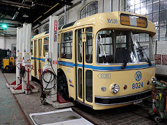 
Bus '8024' at Brussels Tram Museum, Belgium, June 2024