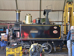 
'Yvonne', St Leonard '947' of 1893, at Maldegem, Belgium, June 2024