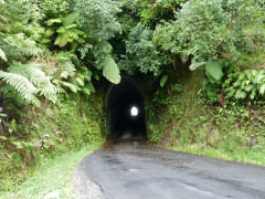 
Makahu Tunnel, Taranaki, January 2013