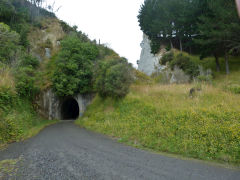 
Tangahoe tunnel with the cutting to the right, Taranaki, January 2013