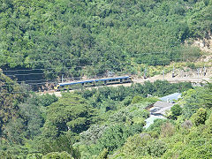 
Matangi unit in the Ngaio Gorge, January 2013