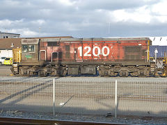 
DBR 1200 on Wellington loco shed, January 2013