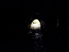 
Thomas Quarry tunnel, Tinakori, Wellington, January 2013