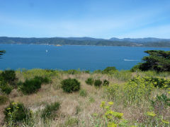
View from observation post, Fort Ballance, Wellington, January 2013