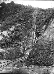 
Fern Spur Incline, Piako County Tramway, © Photo courtesy of Te Papa Museum, Wellington