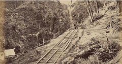 
Moanataiari Creek goldmines,  © Photo courtesy of Auckland Museum
