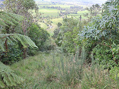 
Fern Spur Incline top looking down, Piako County Tramway, February 2023