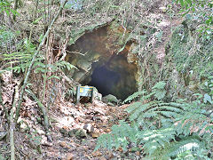 
The collapsed tunnel portal, Piako County Tramway, February 2023