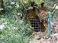 
Moanataiari Creek mines, Thames, February 2023