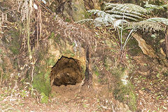 
Tinkers Gully mine No 5, March 2017