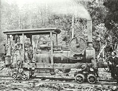 
Early Ruston and Proctor based loco at Charming Creek Railway, © Photo courtesy of DoC