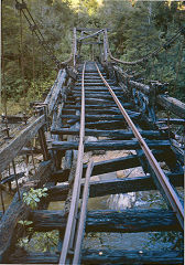 
The suspension bridge, 1975, Charming Creek Railway, © Photo courtesy of DoC
