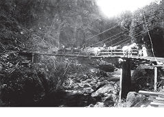 
The suspension bridge, Charming Creek Railway, © Photo courtesy of DoC