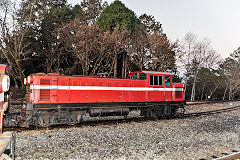 
'DL 41' at Alishan, February 2020