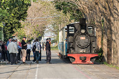 
Along the line with '346' at Xihu, February 2020